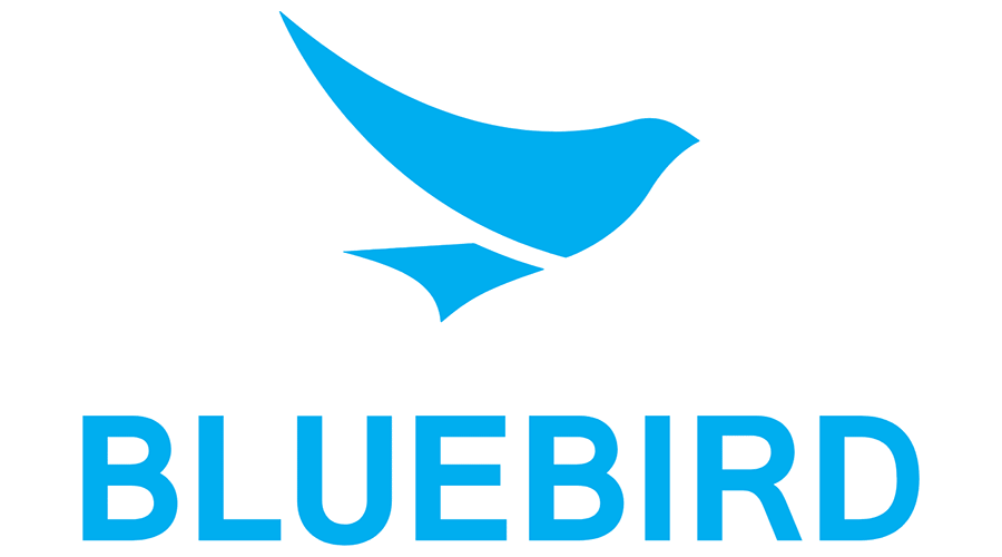 Buy Bluebird Bank Account 